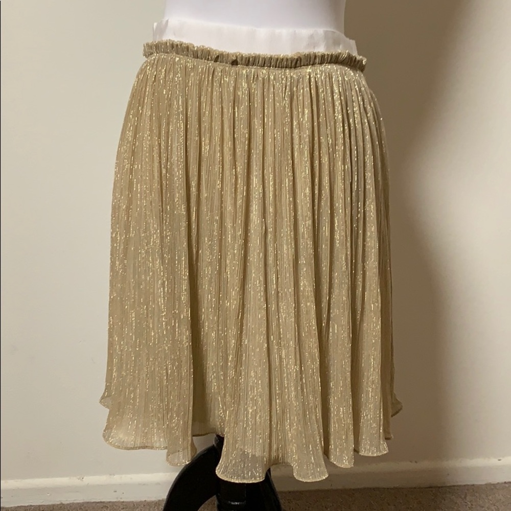 Claudie Pierrot skirt